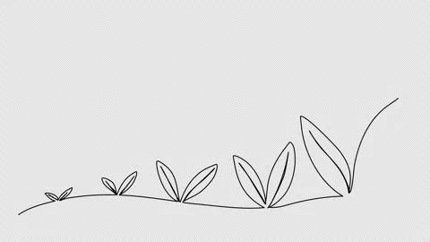Sprout, one line drawing animation. Video clip with alpha channel. Video stock 270714659