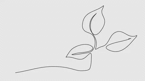 Sprout, one line drawing animation. Video clip with alpha channel. Video stock 270715001