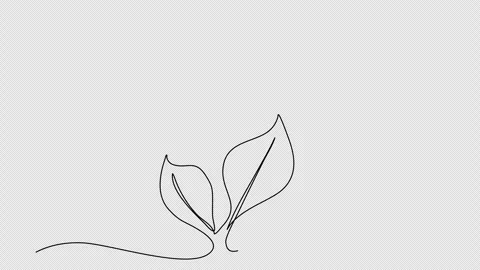 Sprout, one line drawing animation. Video clip with alpha channel. Stock Footage 271516078