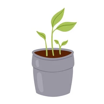 Sprout in pot Stock Illustration