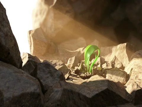 Sprout in the rocks Stock-Footage 80261522