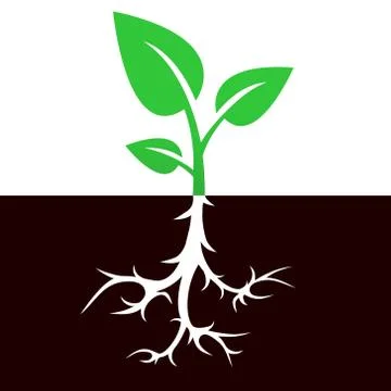 Sprout with root vector icon design Illustrazione stock