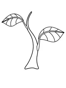Sprout - small plant - vector linear illustration for coloring. Sapling Stock Illustration