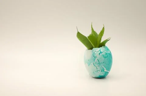 A sprout sprouting from an Easter egg Stock Photos