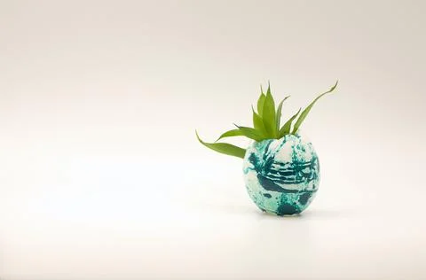 A sprout sprouting from an Easter egg Stock Photos