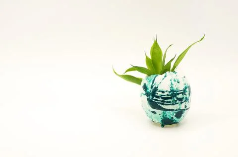 A sprout sprouting from an Easter egg Stock Photos