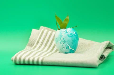 A sprout sprouting from an Easter egg Stock Photos