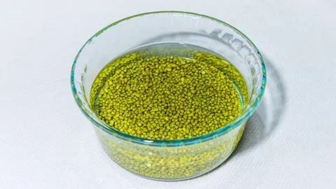 Sprout Timelapse Video stock 137486057