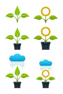Sprout vector illustrations Stock Illustration