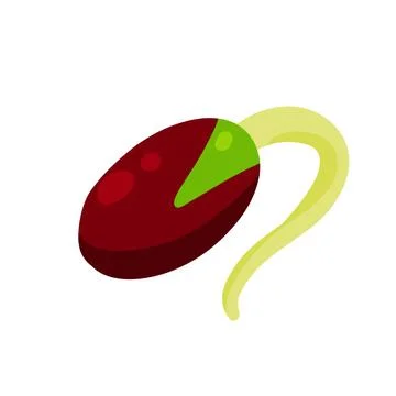 Sprouted beans. Soy grains with roots. Detox and antioxidant. Stock Illustration
