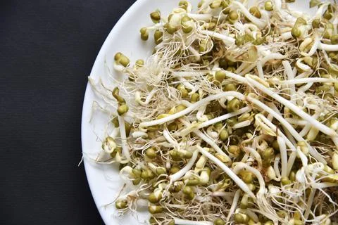 Sprouted chickpea beans with a leaf and roots for salad. Sprouted chickpeas c Stock Photos