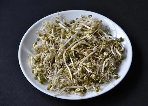 Sprouted chickpea beans with a leaf and roots for salad. Sprouted chickpeas c Stock Photos
