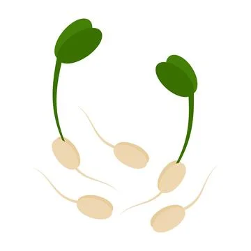 Sprouted grains with root, green sprouts and leaves. Healthy Eating Day or Stock Illustration