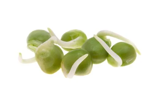 Sprouted peas isolated Stock Photos