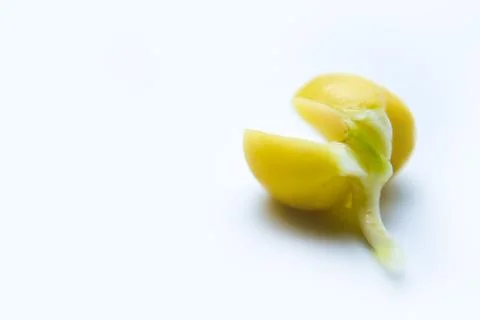 Sprouted peas on a white background. Stock Photos