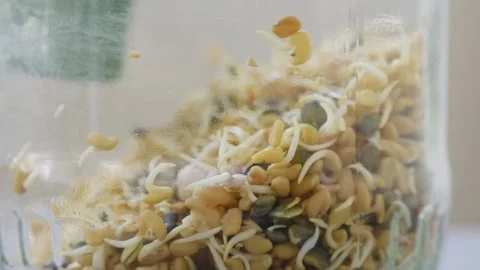 Sprouted seeds in a jar. Video stock 194976245
