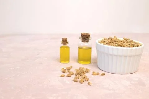 Sprouted wheat on a light background. toned Stock Photos