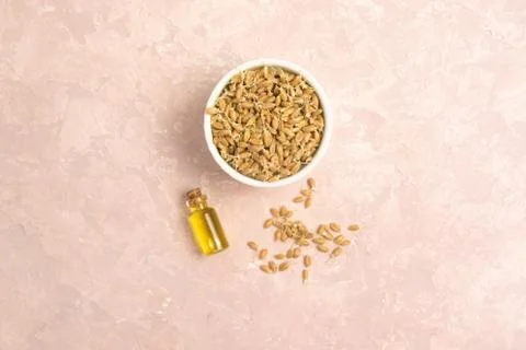 Sprouted wheat on a light background. toned 写真素材