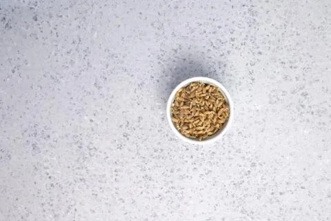 Sprouted wheat on a light background. toned Stock Photos