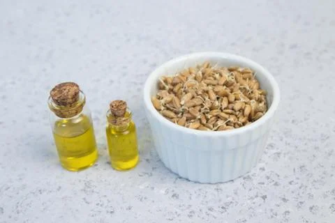 Sprouted wheat on a light background. toned Stock Photos