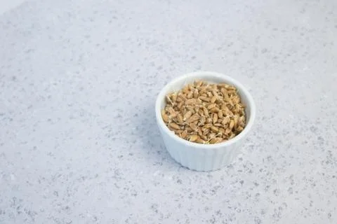 Sprouted wheat on a light background. toned Stock Photos