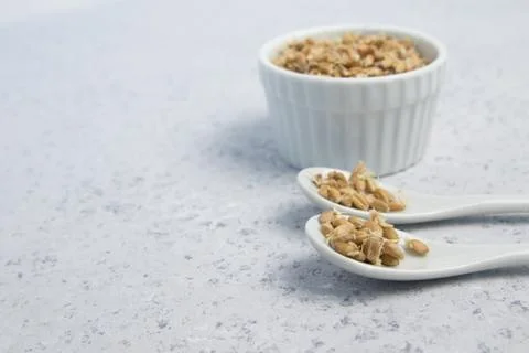 Sprouted wheat on a light background. toned Stock Photos