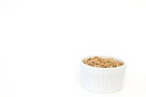 Sprouted wheat on a light background. toned Stock Photos