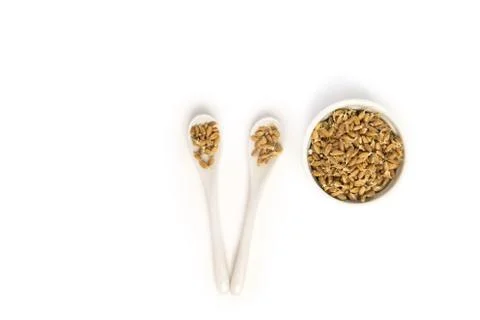 Sprouted wheat on a light background. toned Stock Photos