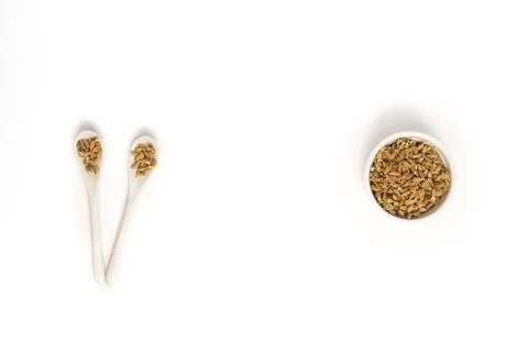 Sprouted wheat on a light background. toned Stock Photos