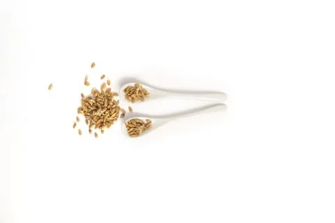 Sprouted wheat on a light background. toned Stock Photos