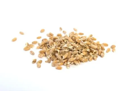 Sprouted wheat on a light background. toned Stock Photos