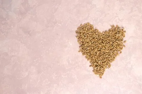 Sprouted wheat in shape of heart on a light background. toned Stock Photos