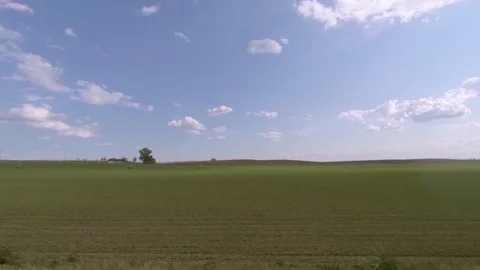 Sprouting alfalfa field on a sunny spring day in Central Washington Stock-Footage 89580396
