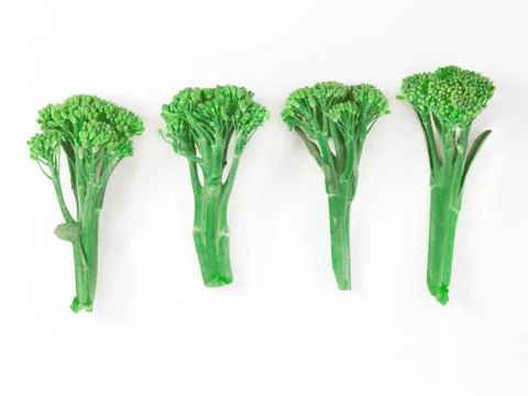 Sprouting broccoli Stock Photos