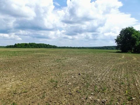 Sprouting Field in Spring Stock Photos