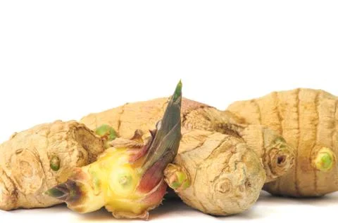 Sprouting ginger Stock Photos