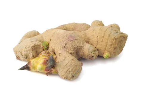 Sprouting ginger Stock Photos