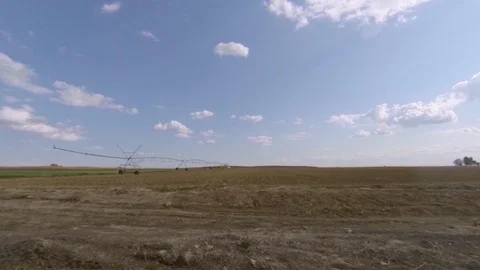 Sprouting grain field on a sunny spring day in Central Washington Stock-Footage 89580602