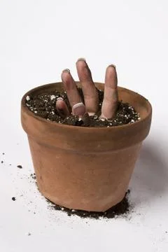 Sprouting hand Stock-Fotos