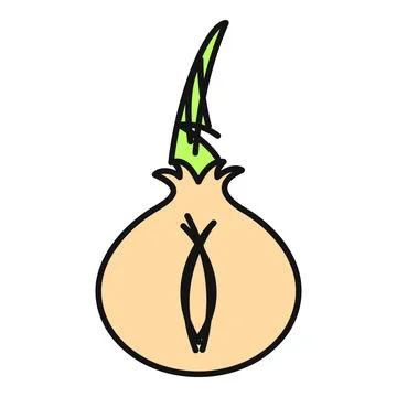 Sprouting onion vegetable with leaf growing illustration Stock Illustration