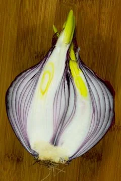 Sprouting Red Onion - Sliced down the Center Stock Photos