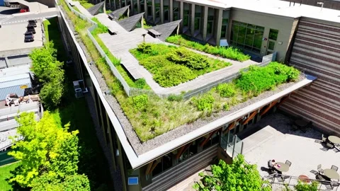 Sprouting from the Roof - Syracuse, NY Stock Footage 336040125