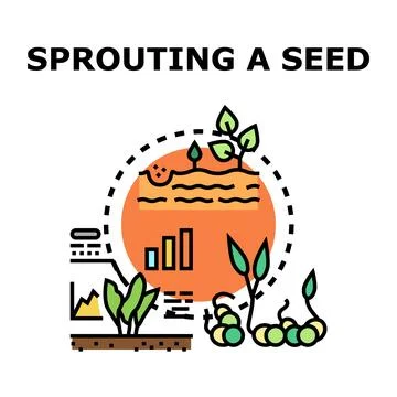 Sprouting seed growing process development progress icon イラスト素材