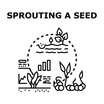 Sprouting seed growing process development progress icon Stock Illustration