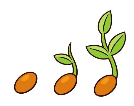 Sprouting seed illustration Illustrazione stock