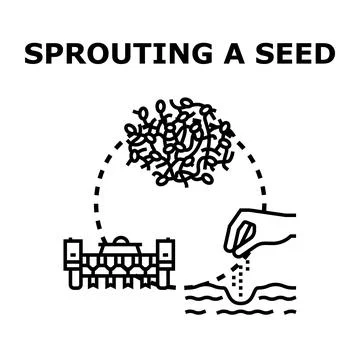 Sprouting a seed process with planting and growth icon Stock Illustration