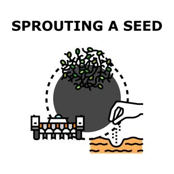 Sprouting a seed process with planting and growth icon Stock Illustration