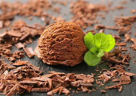 Sprouting seedling growing from a walnut shell Stock Photos
