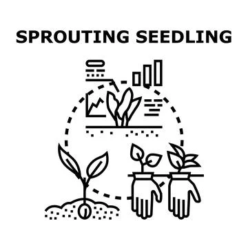 Sprouting seedling growth developing plant farming concept 库存插图