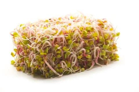 Sprouts box shaped Stock Photos